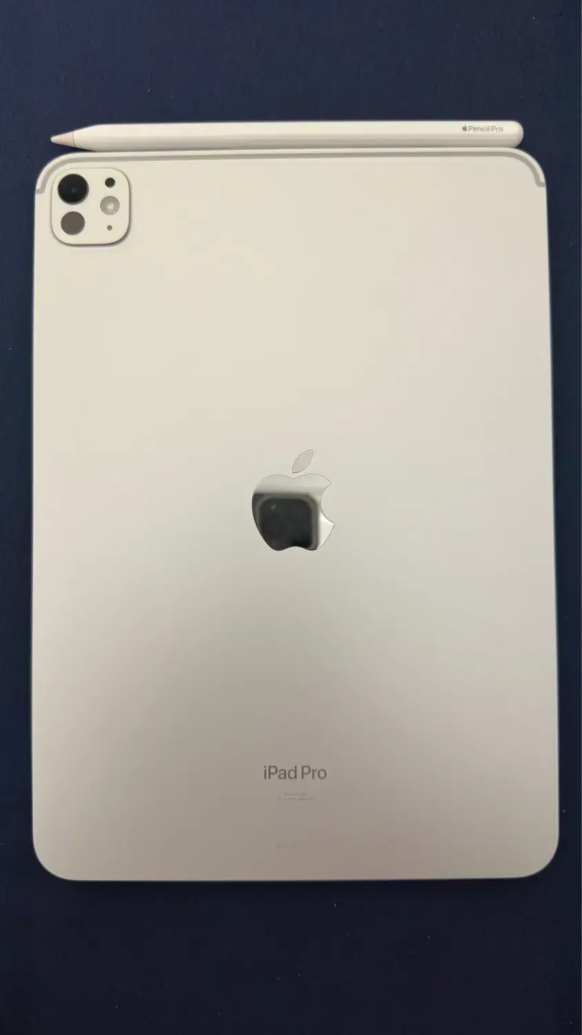 ipad pro m4 2024 + Apple pencil Pro|تبلت|اصفهان, باغ زیار|دیوار