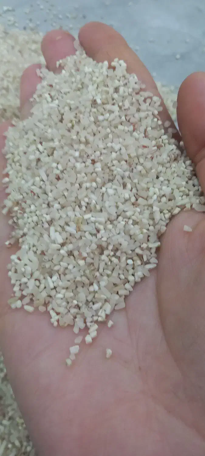 برنج طارم دانه بلند خوش پخت سبز در لومار|خوردنی و آشامیدنی|سیروان, |دیوار