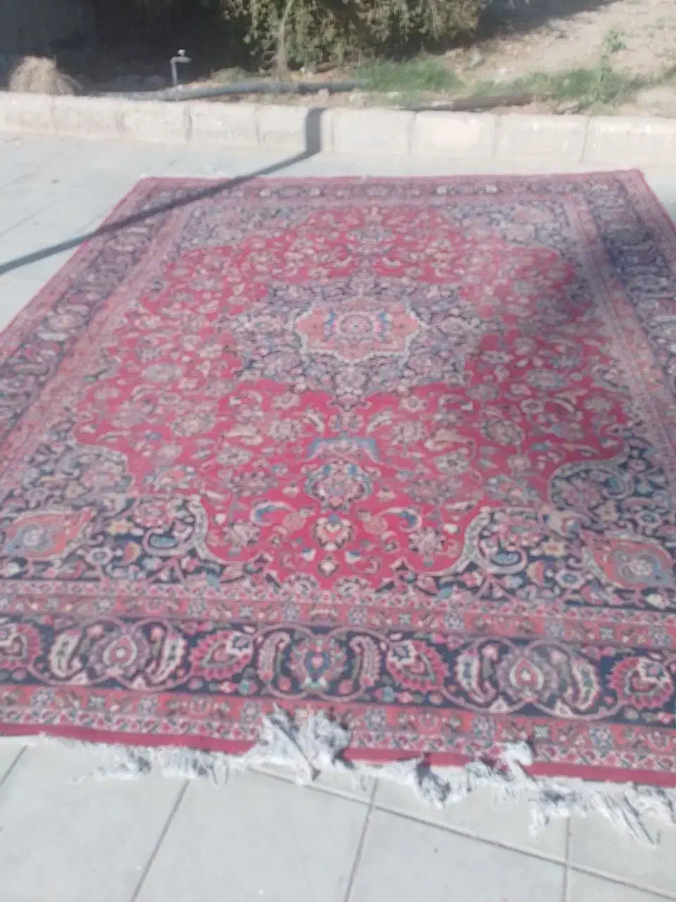 فرش دستبافت|فرش|دامغان, |دیوار