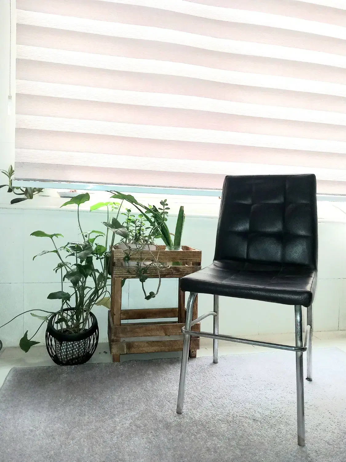 صندلی ناهارخوری|صندلی و نیمکت|کرج, گلشهر|دیوار