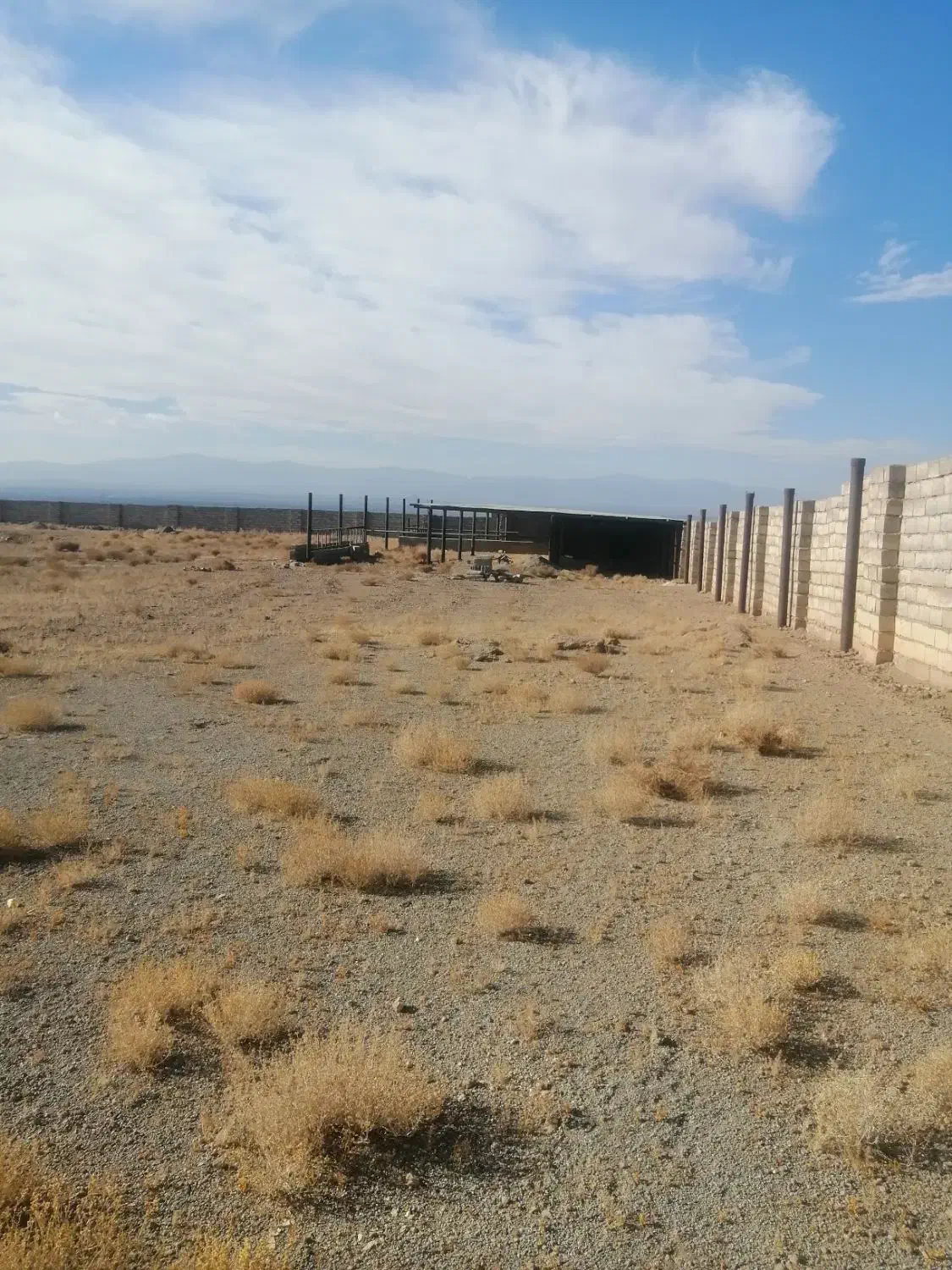 گاوداری|فروش دفتر صنعتی، کشاورزی، تجاری|زرند, |دیوار