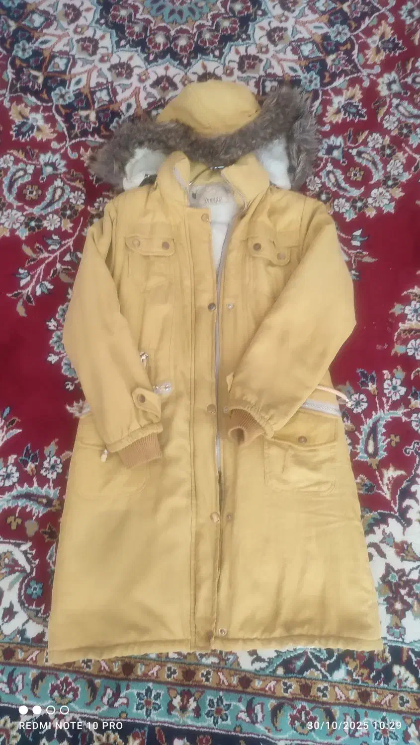 پالتو سایز 3|لباس|فردوس (خراسان), |دیوار