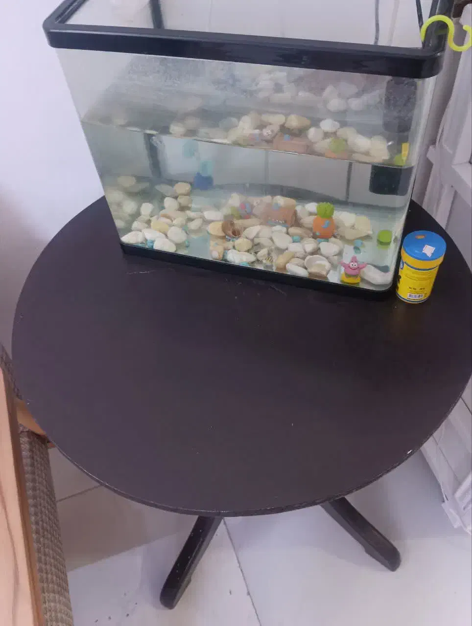 میزگرد|مبلمان خانگی و میز عسلی|مشهد, رده|دیوار