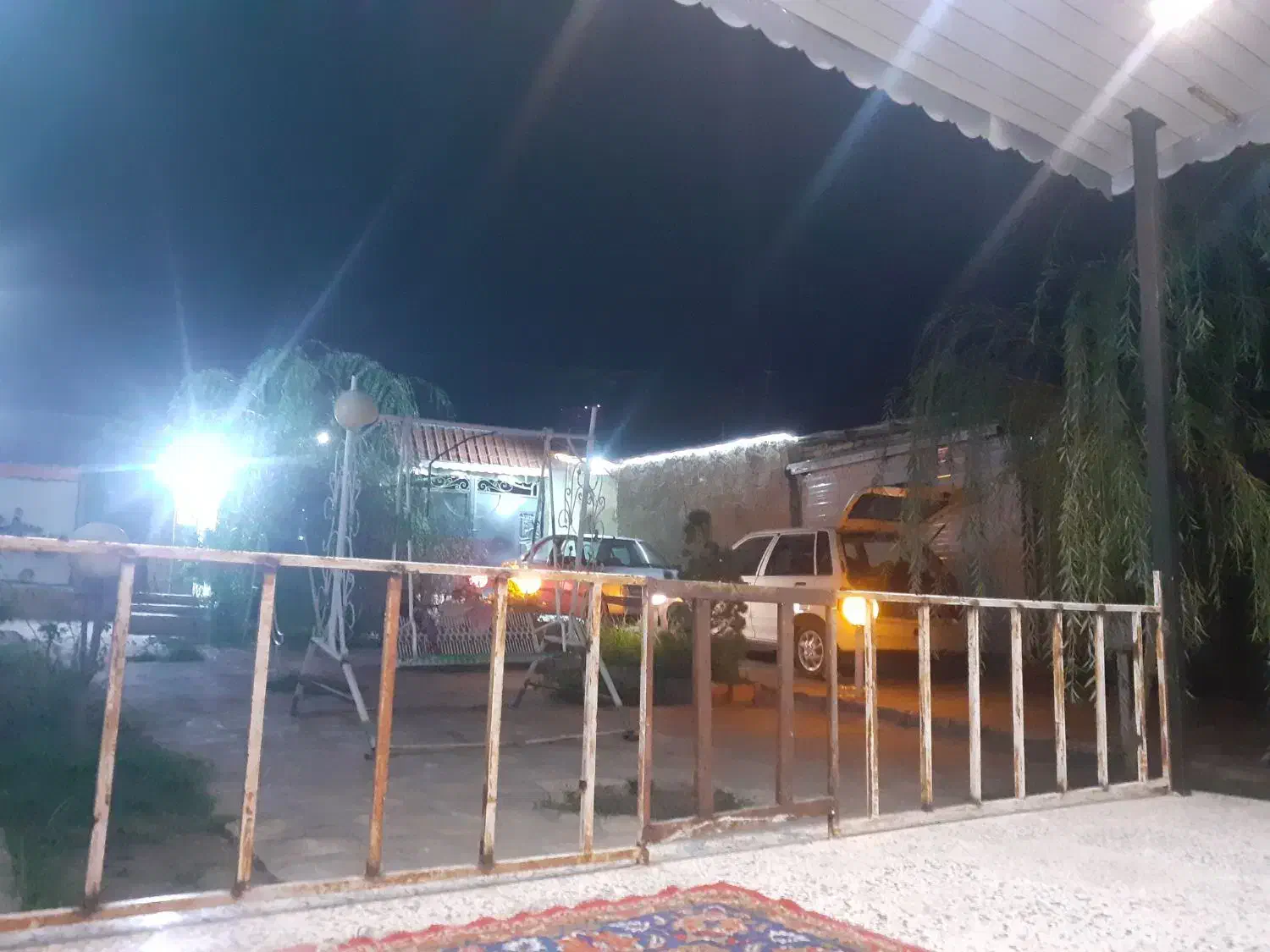 چوب کاج و توت خشک بزرگ|خدمات باغبانی و درختکاری|طبس, |دیوار