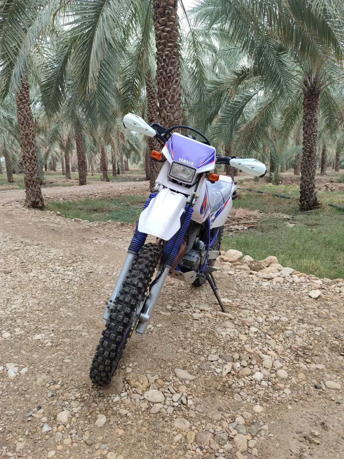 موتور سیکلت تی تی ار کیلومتر دیجیتال|موتورسیکلت|وحدتیه, |دیوار