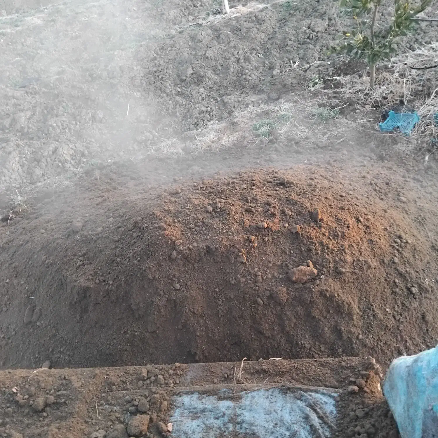 کود حیوانی، گوسفندی و گاوی تمیز|خدمات باغبانی و درختکاری|سورک, |دیوار