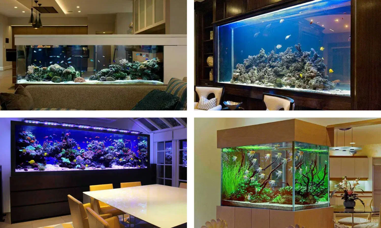 طراحی نصب آکواریوم پلنت آبنما تضمینی|ماهی|مشهد, نیروی هوایی|دیوار
