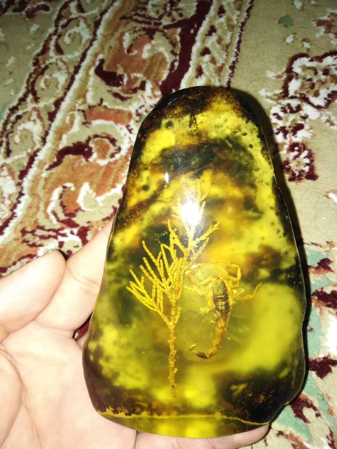 سنگ کهربا کلکسیونی به این زیبای|کلکسیون اشیاء عتیقه|تهران, تهرانسر شرقی|دیوار