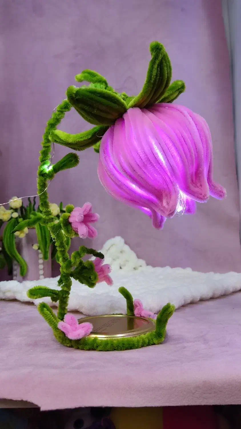 گل پینترسی|چراغ خواب و آباژور|رشت, سلیمانداراب|دیوار