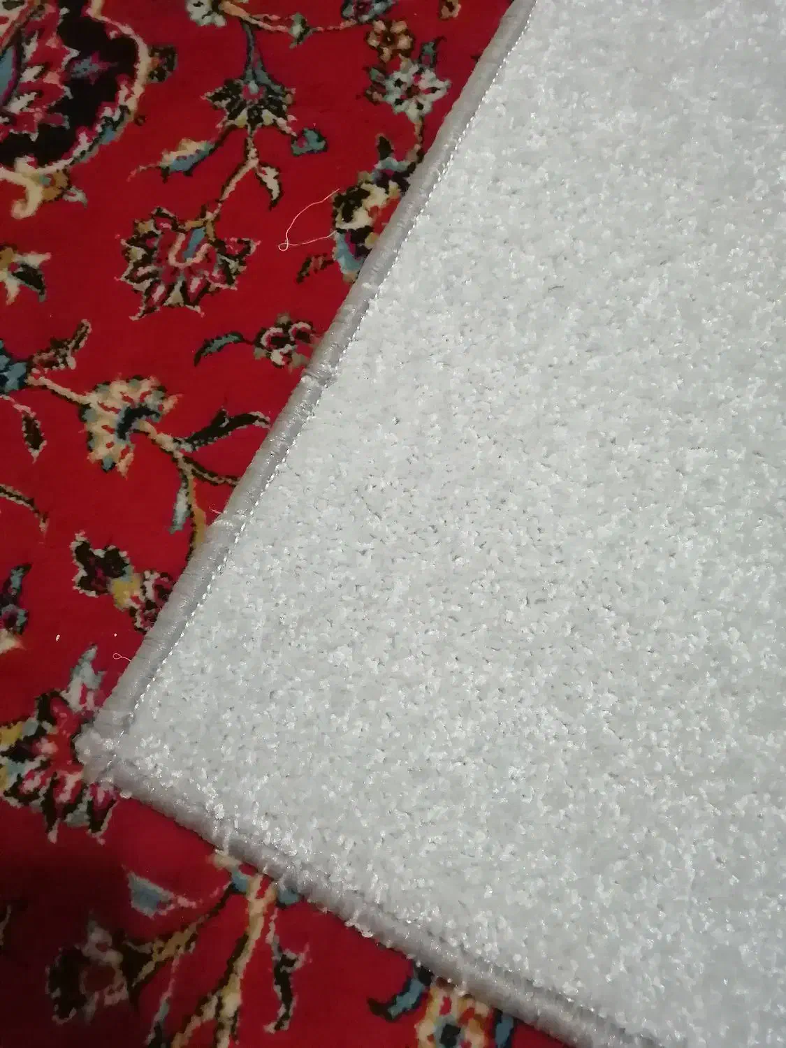 موکت پرز بلند دو عدد|موکت|قزوین, |دیوار