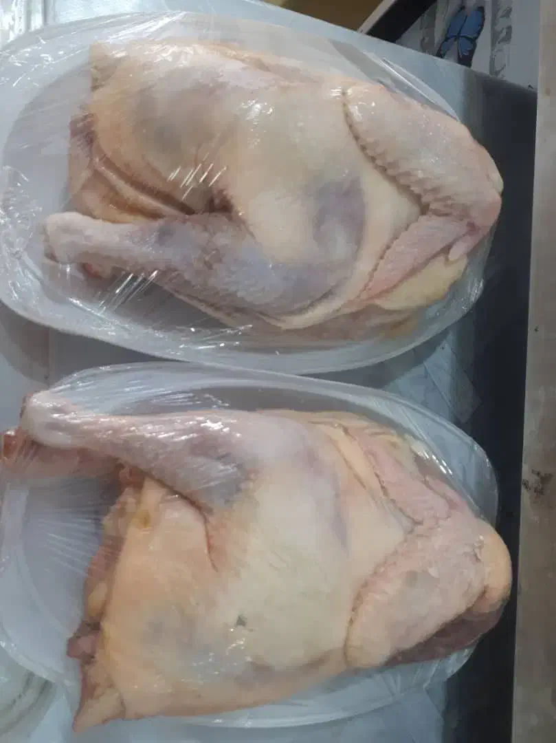 نیمچه خروس|خوردنی و آشامیدنی|رامشیر, |دیوار