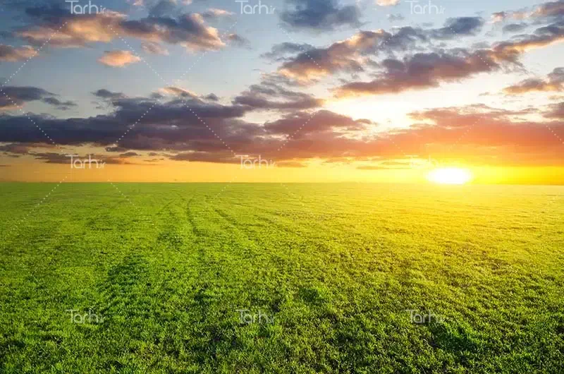 زمین نیر|فروش زمین و ملک کلنگی|نیر (یزد), |دیوار