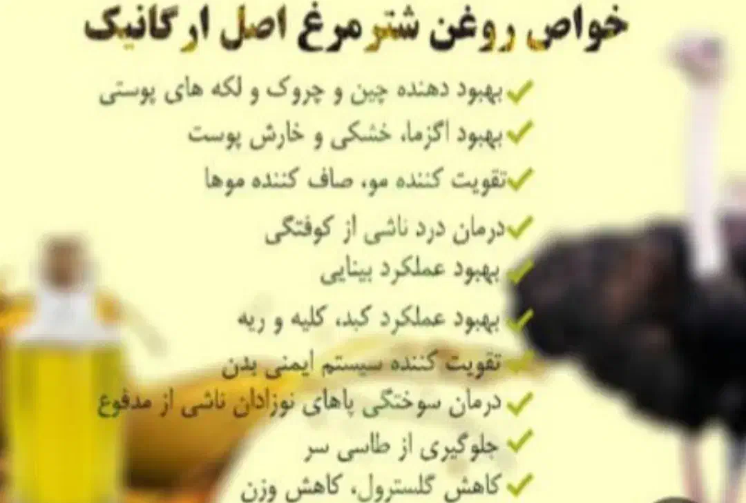 جوجه شترمرغ تخم خوراکی گوشت روغن قلم|حیوانات مزرعه|یاسوج, |دیوار