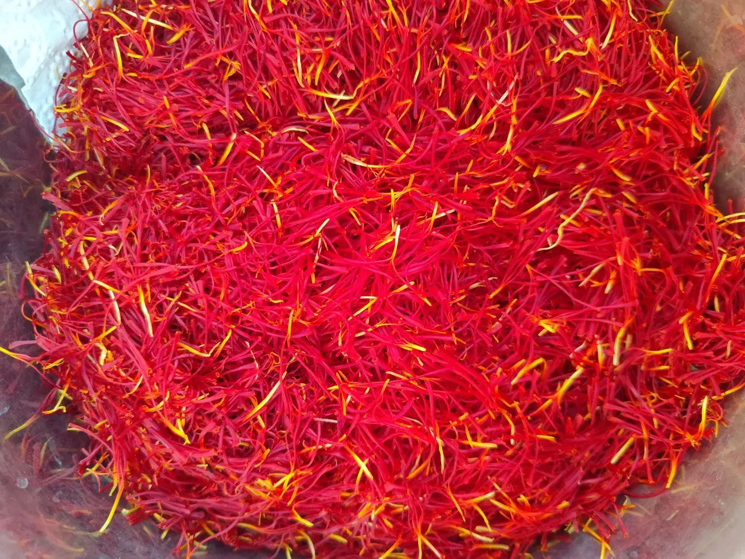 زعفران ارگانیک|خوردنی و آشامیدنی|تربت‌حیدریه, کاشانی|دیوار