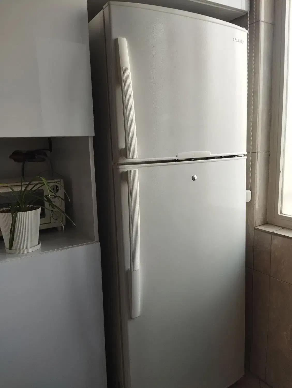 یخچال فریزر سامسونگ|یخچال و فریزر|تهران, مسعودیه|دیوار