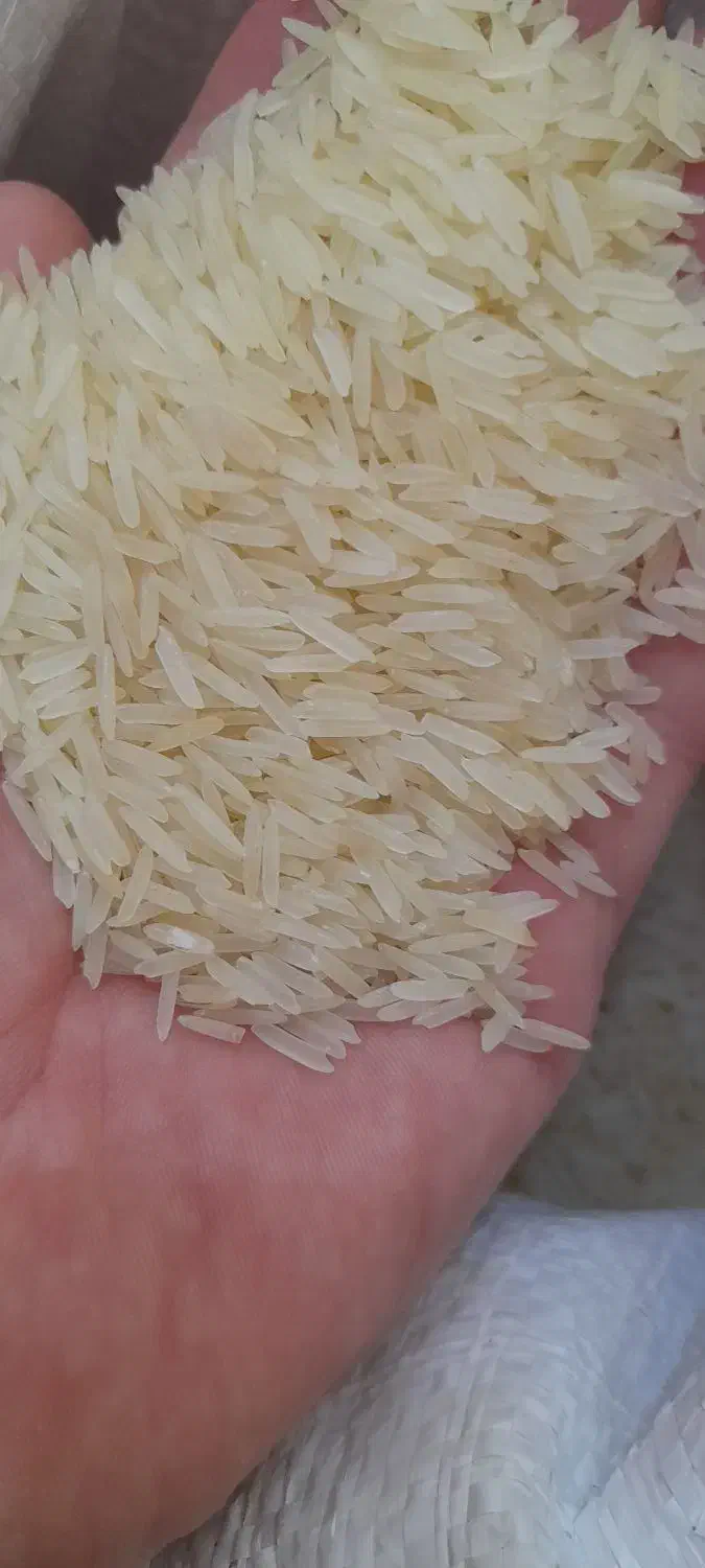 برنج هندی دانه بلند   کالابرگ اصفهان کارت  آزاد|خوردنی و آشامیدنی|اصفهان, رزمندگان|دیوار