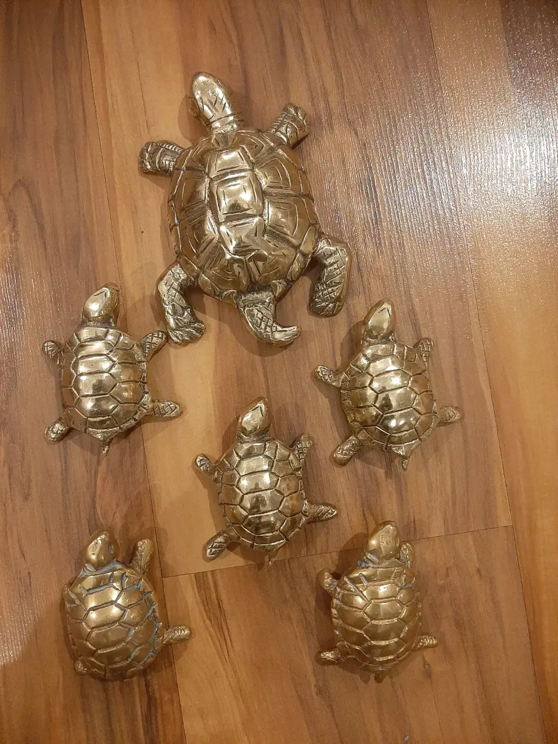 لاکپشت تزیینی برنز|مجسمه، تندیس، ماکت|تهران, شهرک آزادی|دیوار