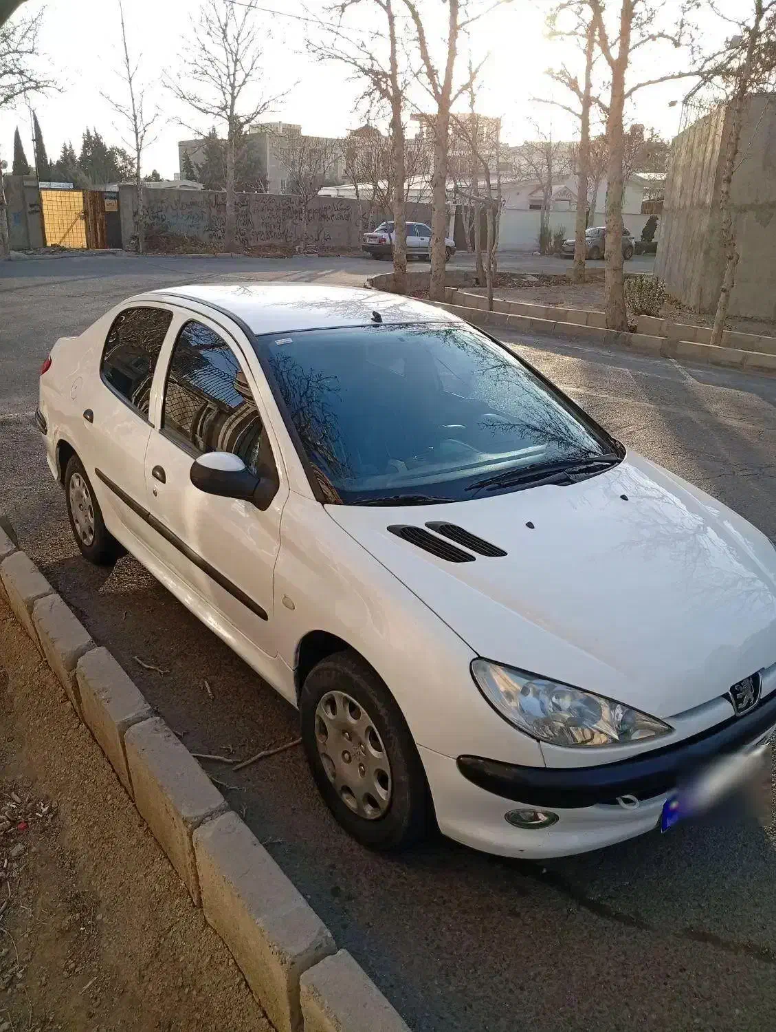 ۲۰۶sdv8|خودرو سواری و وانت|فردیس, شهرک ناز|دیوار