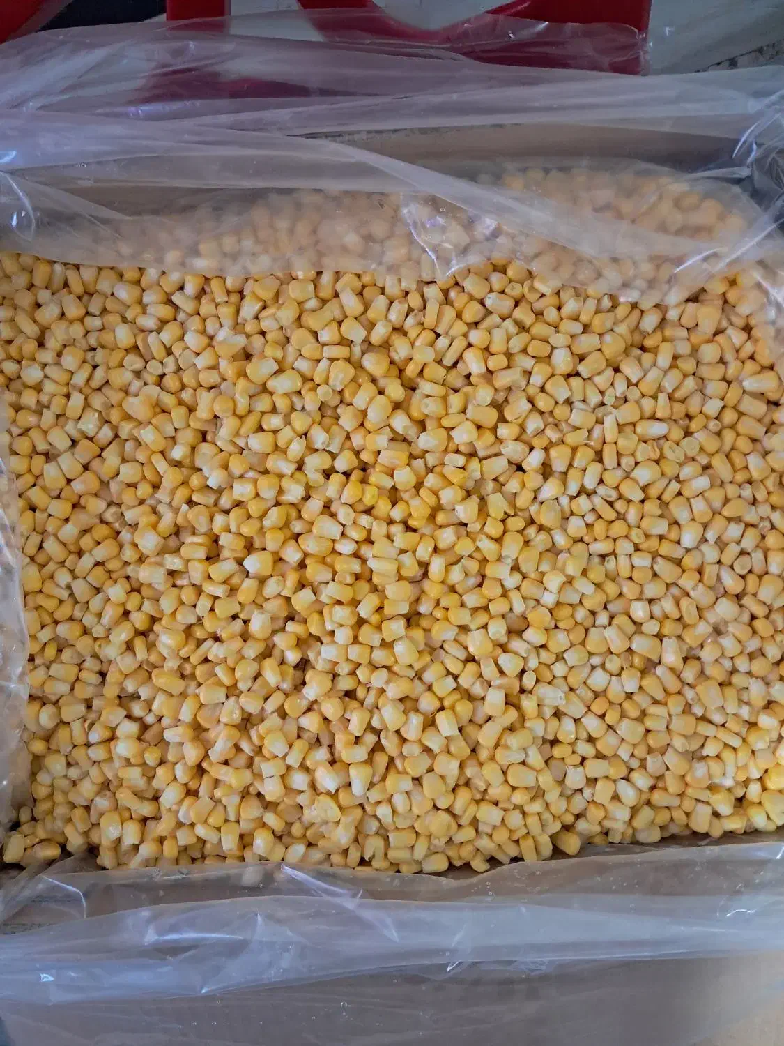 ذرت مکزیکی|خوردنی و آشامیدنی|نسیمشهر, |دیوار