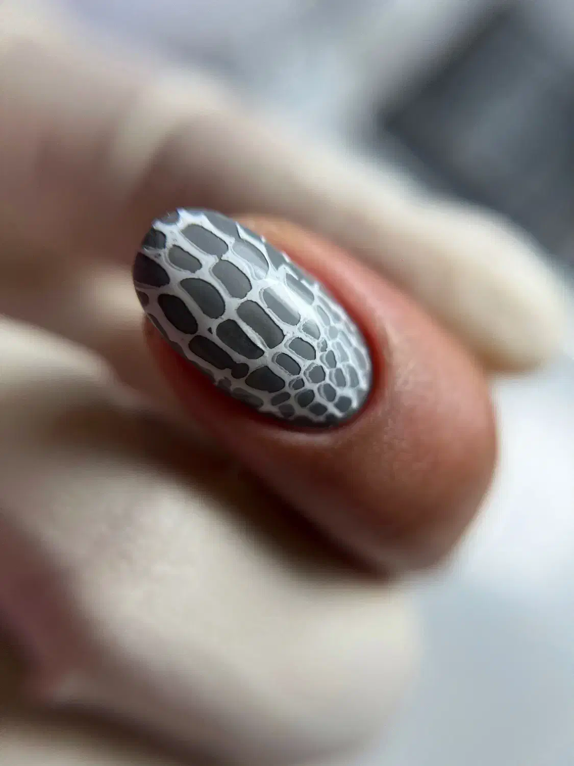 آموزش کاشت ناخن رایگان|خدمات آموزشی|بندر انزلی, شاکوچه|دیوار