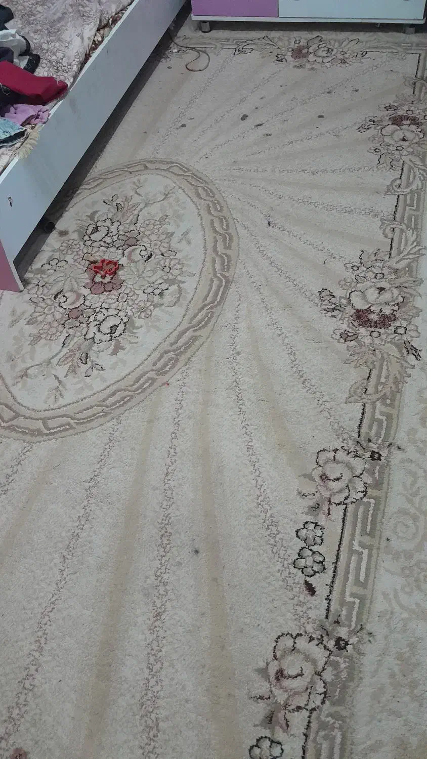 فرش تمیز|فرش|سبزوار, گلشن|دیوار