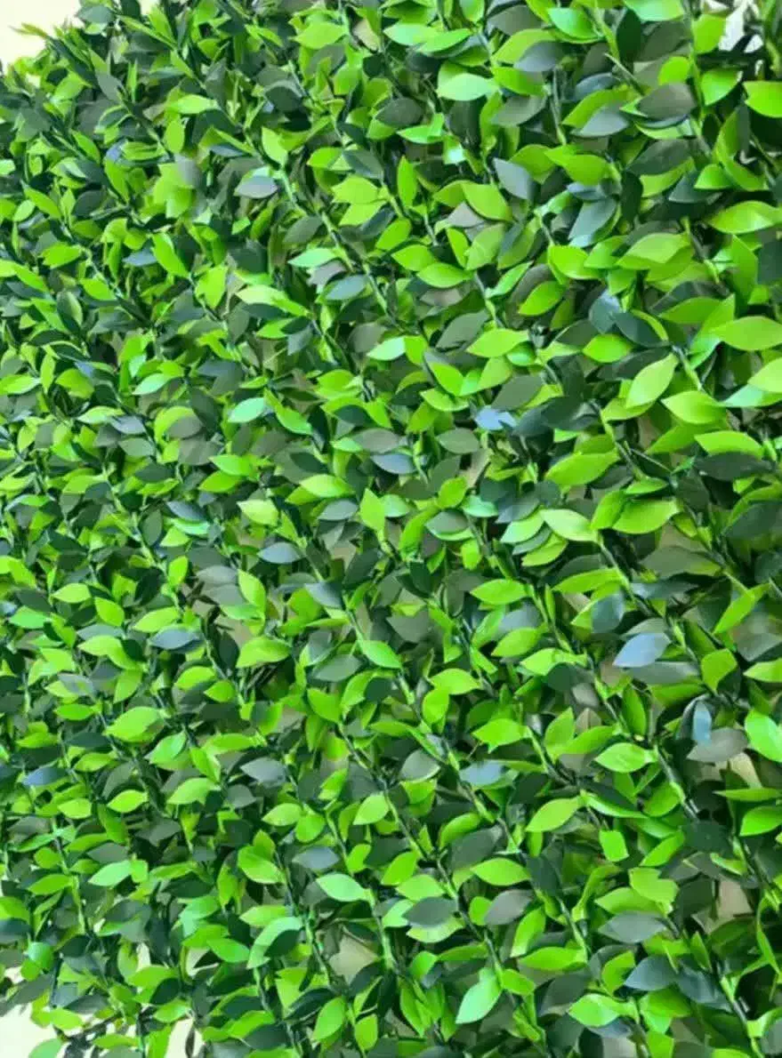 چمن مصنوعی و فنس چمنی|مصالح و تجهیزات ساختمان|یزد, |دیوار