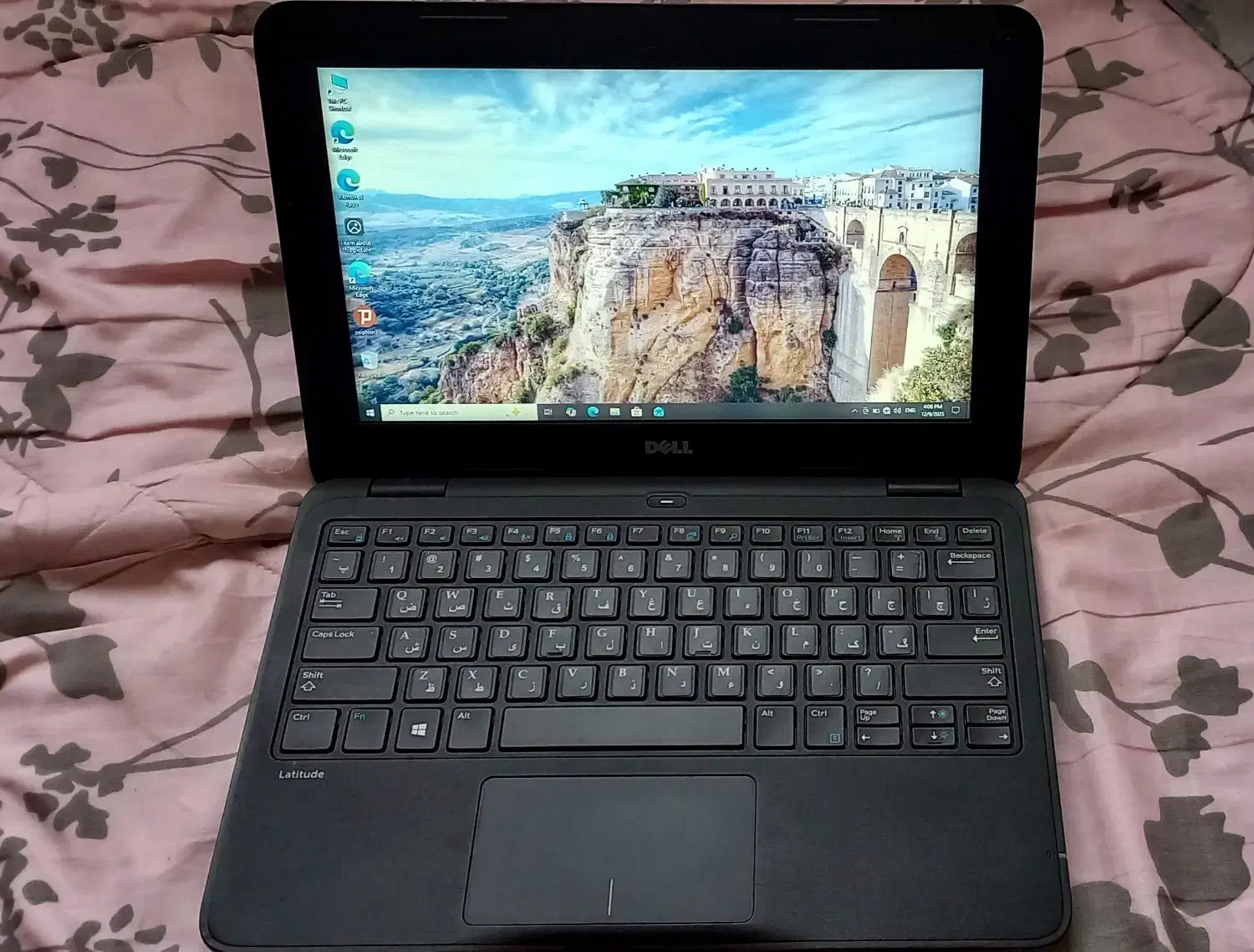 مینی لپ تاپ دل،معاوضه با طوطی راهب|رایانه همراه|تهران, جوادیه تهرانپارس|دیوار