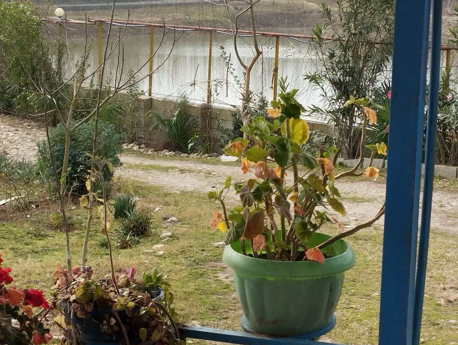 باغ ویلا 1400متری فروشی 3کیلومتری ماسال|فروش خانه و ویلا|طاهرگوراب, |دیوار