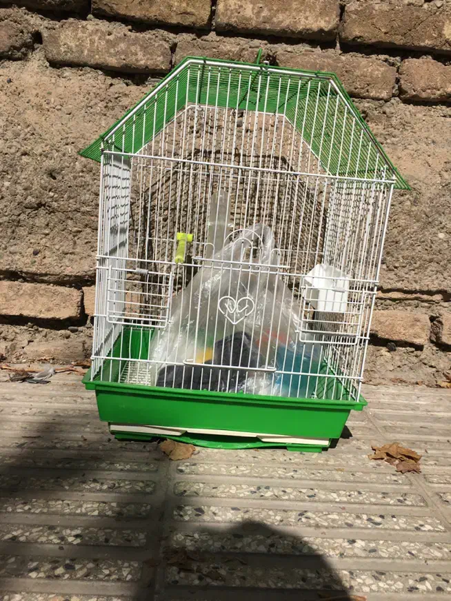 قفس و کیف پرنده|لوازم جانبی حیوانات|تهران, افسریه شمالی|دیوار