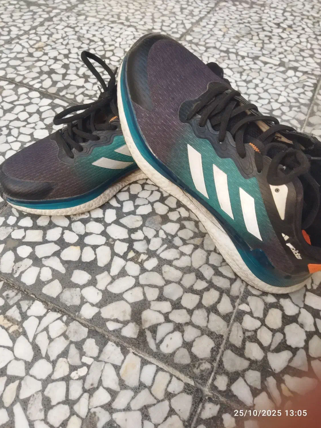 فروش کفش|کیف، کفش، کمربند|گنبد کاووس, |دیوار