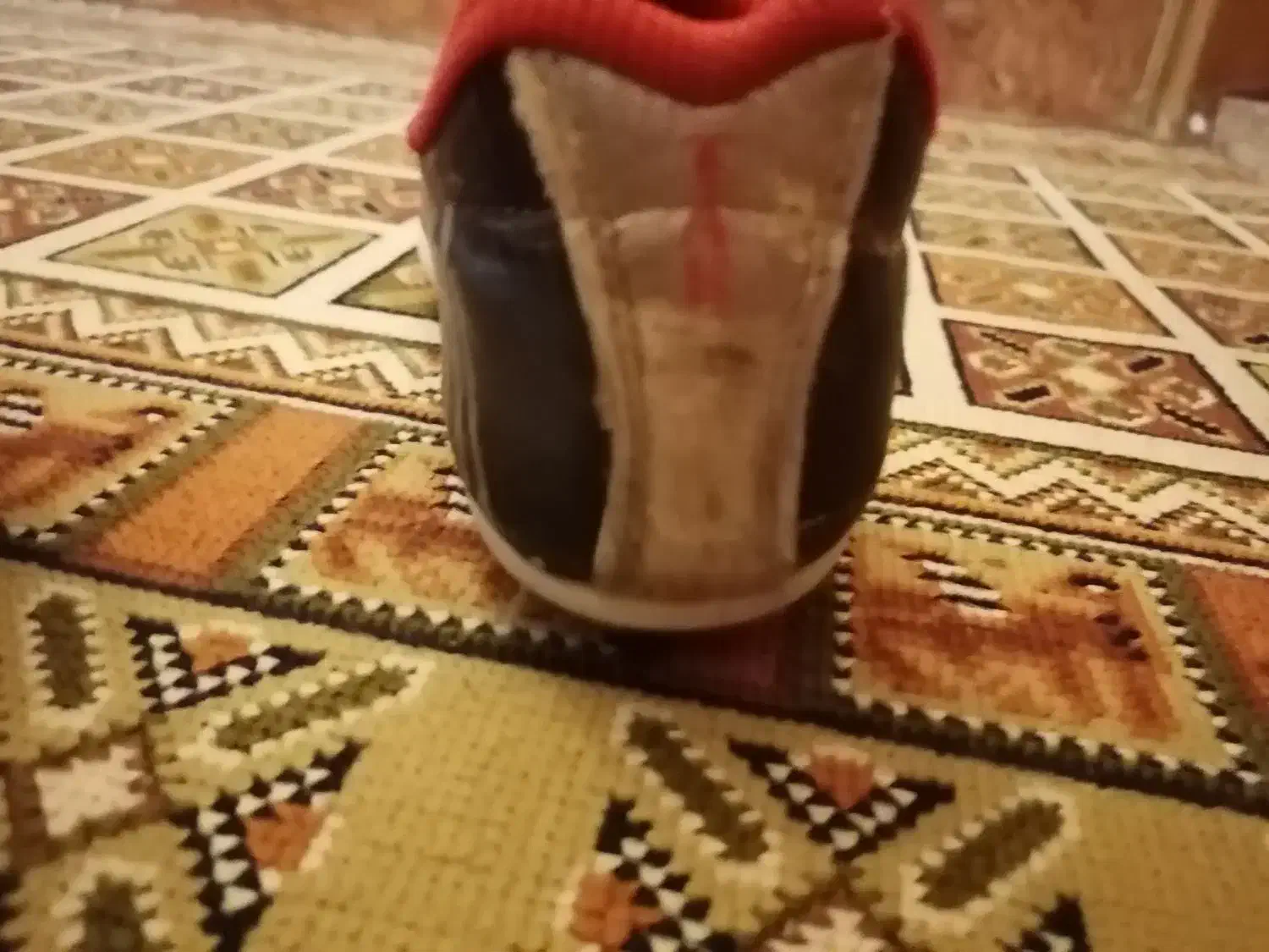 کفش فوتبال چمنی|تجهیزات ورزشی|گنبد کاووس, |دیوار