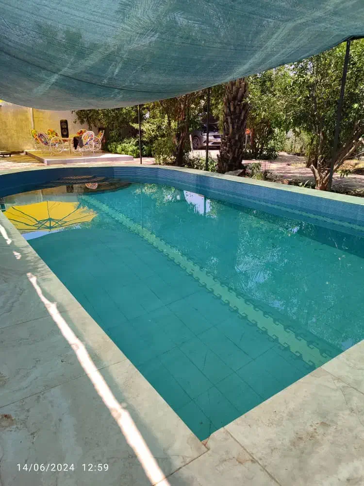 خدمات|خدمات نظافت|تهران, هروی|دیوار