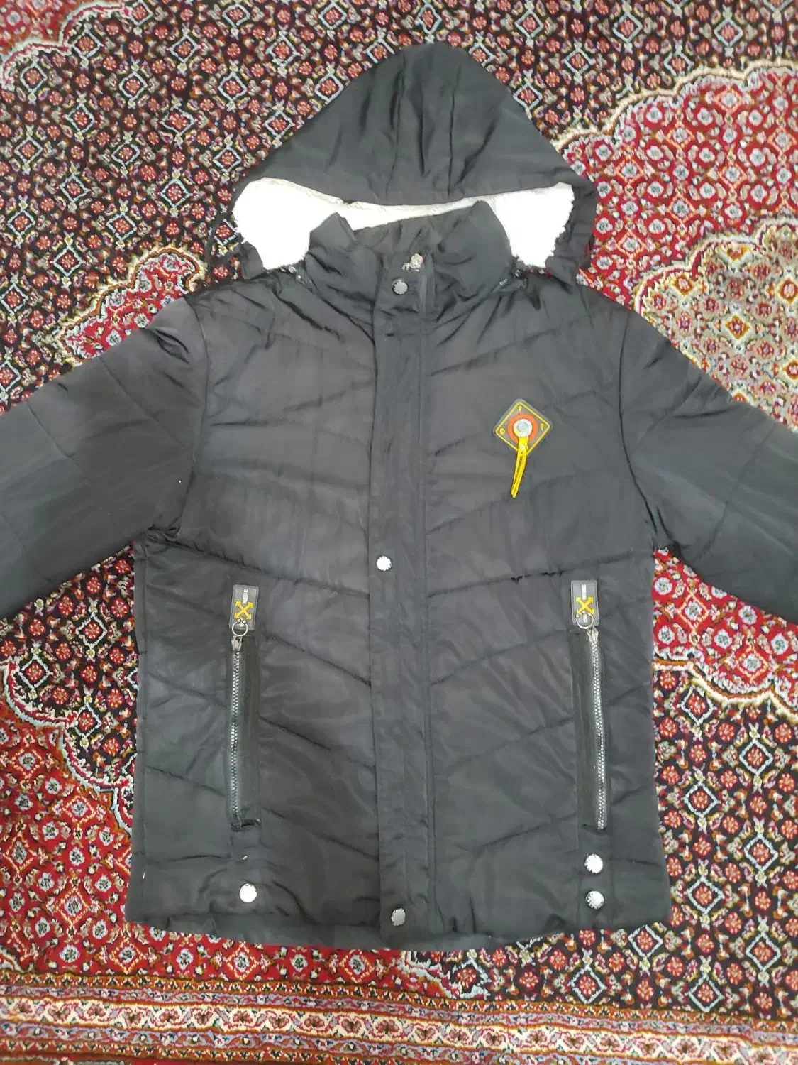 کاپشن گرم زمستانی|لباس|سنندج, |دیوار