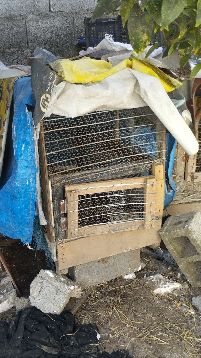 لانه مرغ|لوازم جانبی حیوانات|زیباکنار, |دیوار