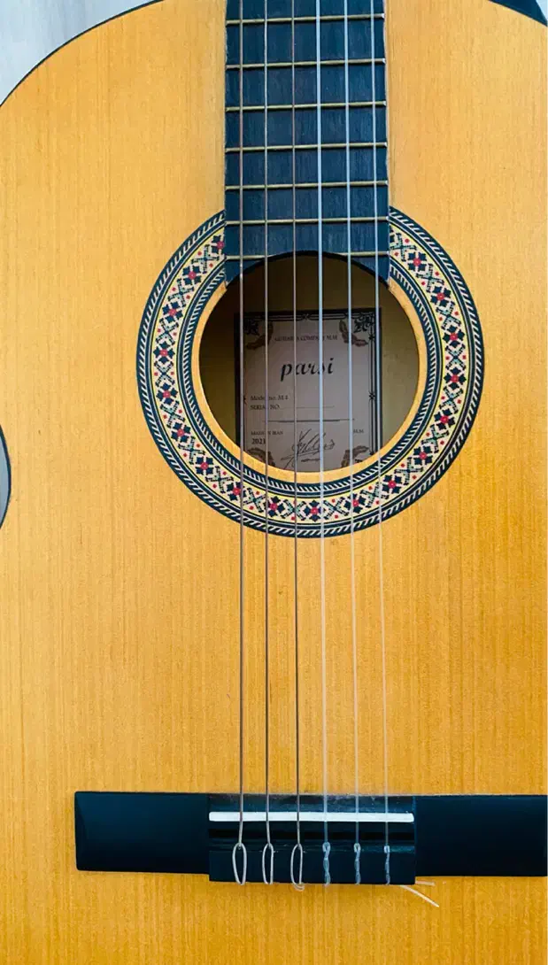 گیتار پارسی مدل m2|گیتار، بیس، امپلیفایر|مشگین شهر, |دیوار