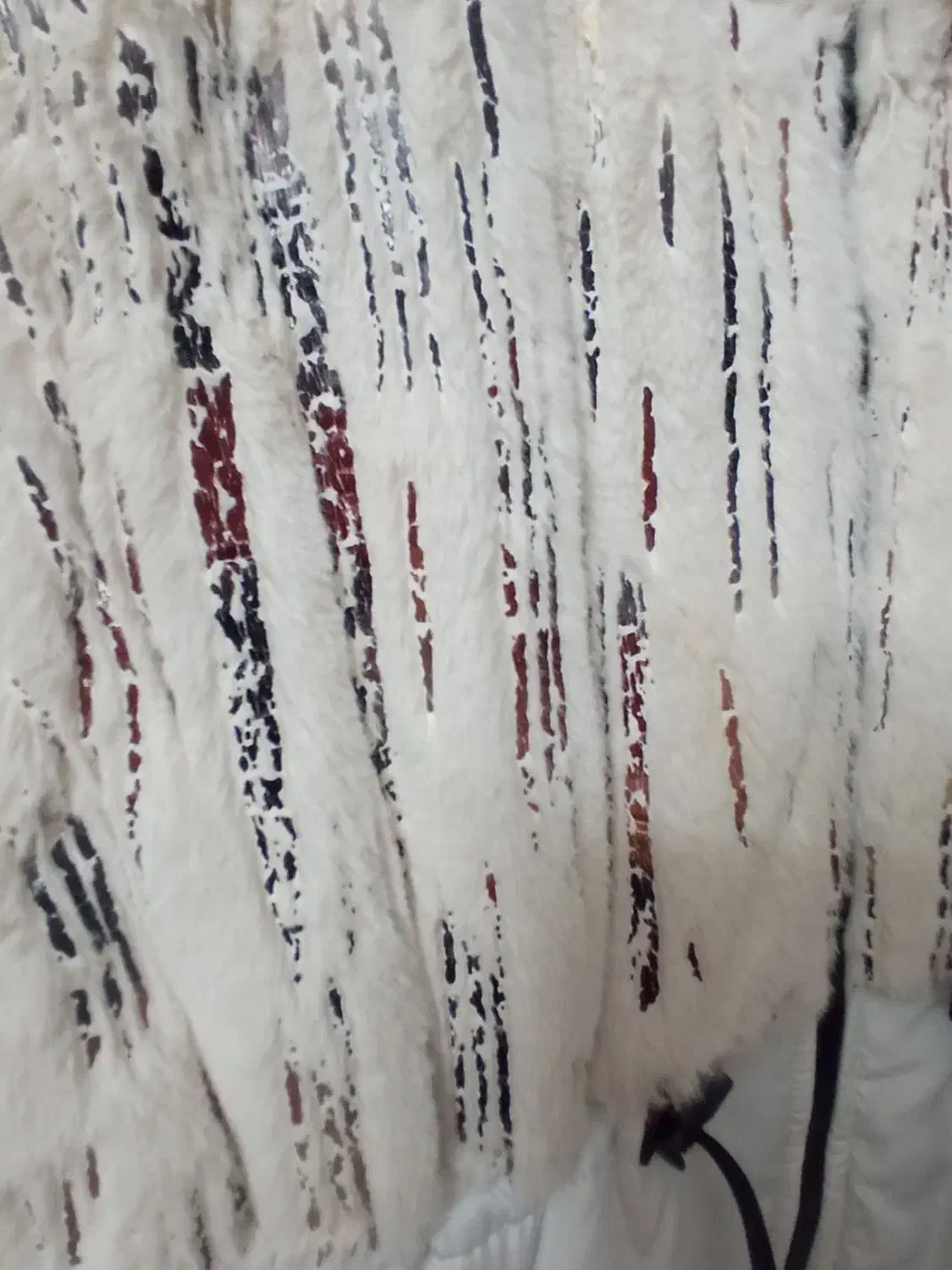 پافر|لباس|سبزوار, فرهنگیان|دیوار