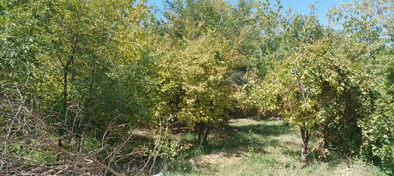 فروش باغ در لوکیشن عالی|فروش خانه و ویلا|دهاقان, |دیوار