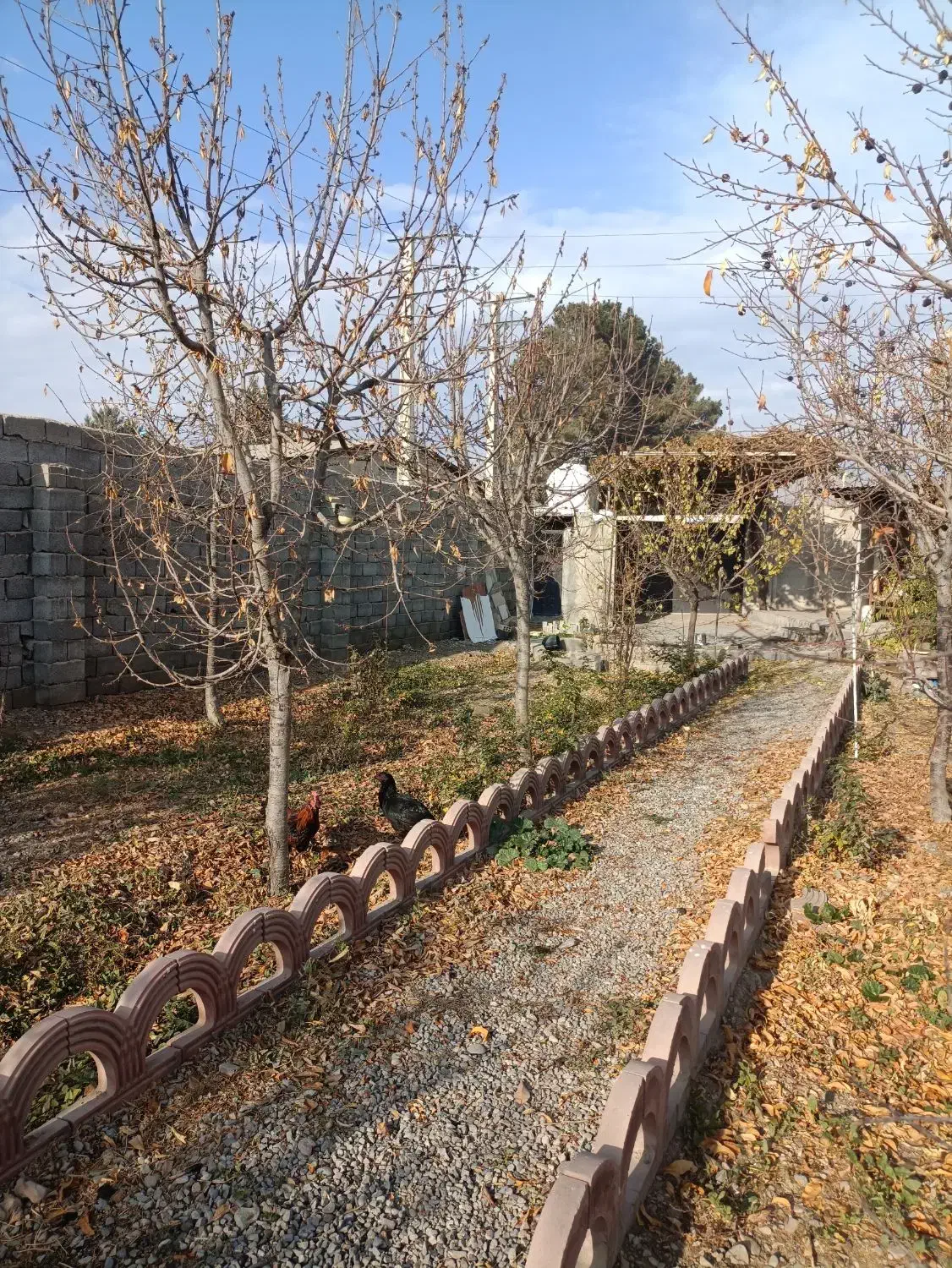 زمین ،باغچه،باغ چهار دیواری ۵۰۰ متری|فروش زمین و ملک کلنگی|چهارباغ, |دیوار