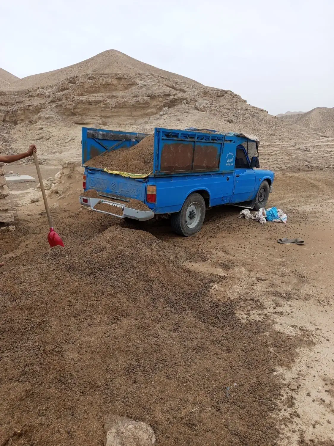 کود حیوانی (پووش)گوسفندی وگاوی سالخورده|خدمات باغبانی و درختکاری|قائمشهر, |دیوار