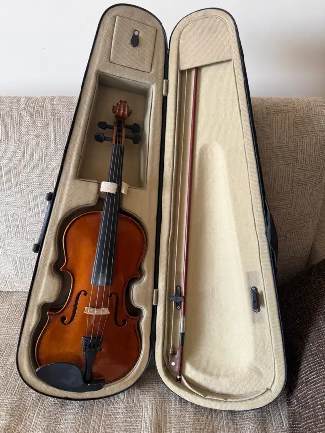 ویالون دست ساز سالم|ویولن|اصفهان, چرخاب|دیوار