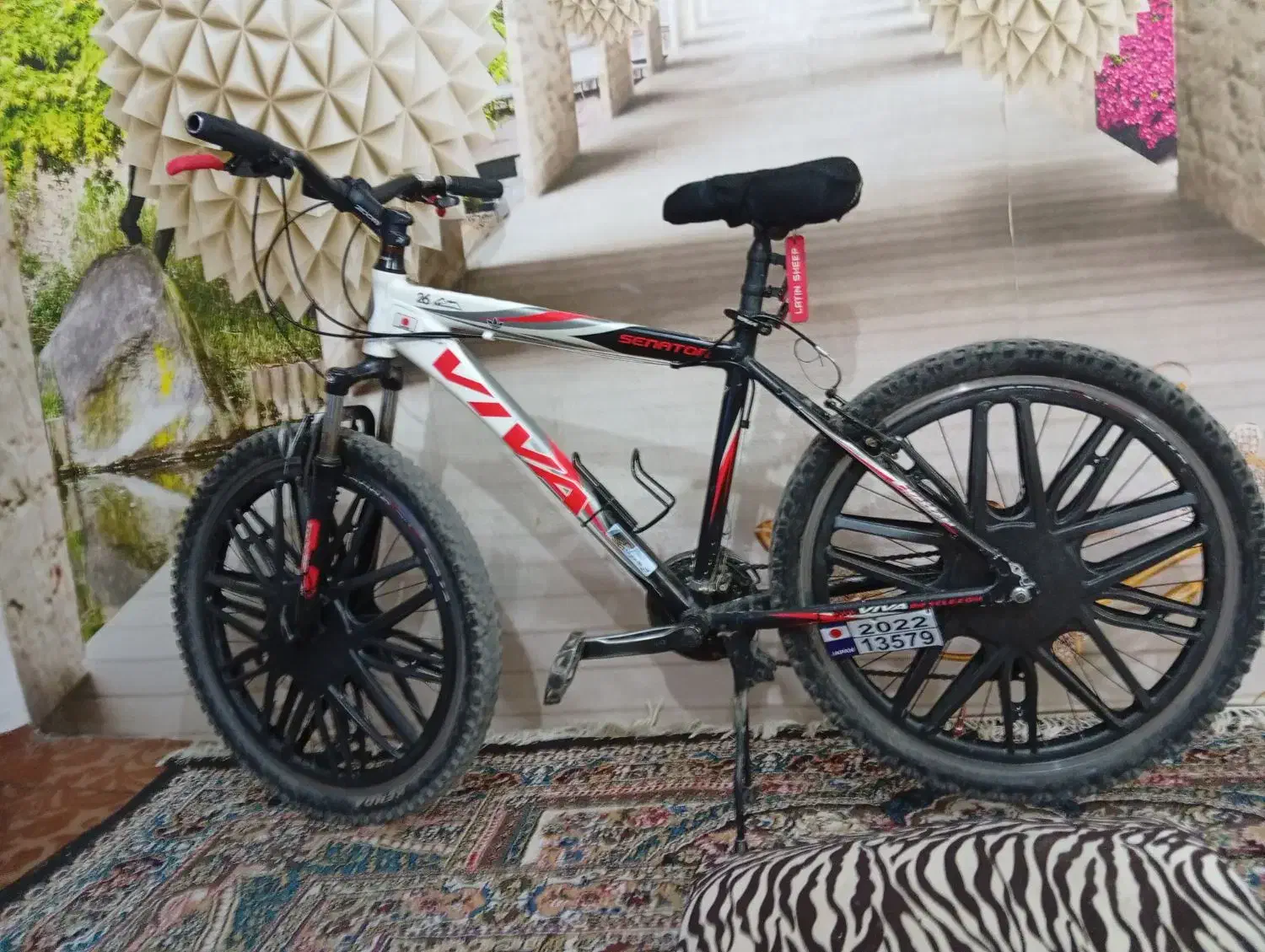 دوچرخه ویوا اصل تیوان|دوچرخه، اسکیت، اسکوتر|اهواز, زندوکیلی|دیوار