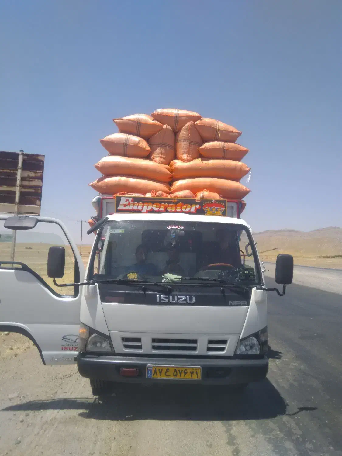 کاه کرمانشاه|لوازم جانبی حیوانات|پلدختر, |دیوار