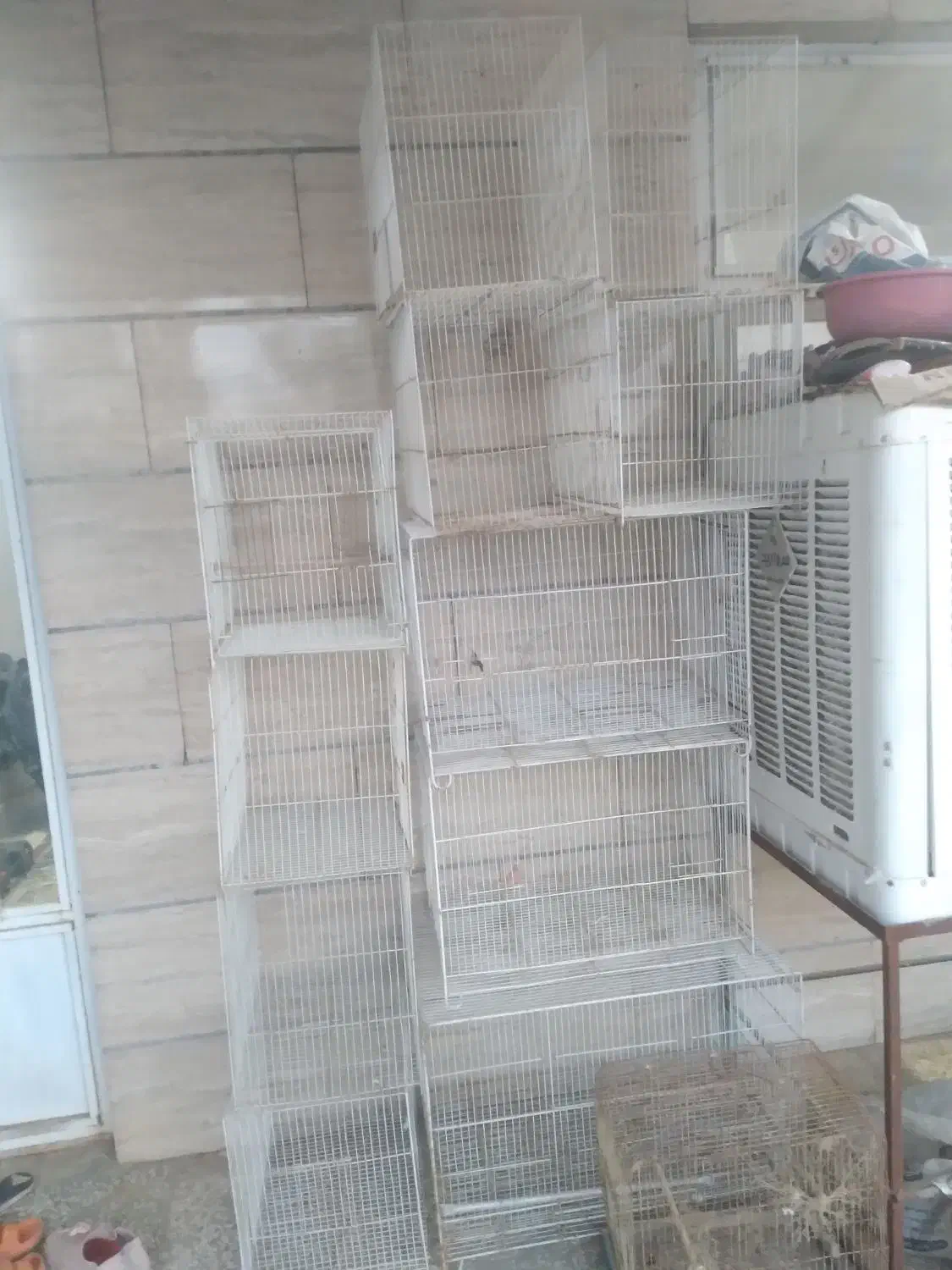 قفس،قفس پرنده عروس هلندی|لوازم جانبی حیوانات|مشهد, میان ولایت|دیوار