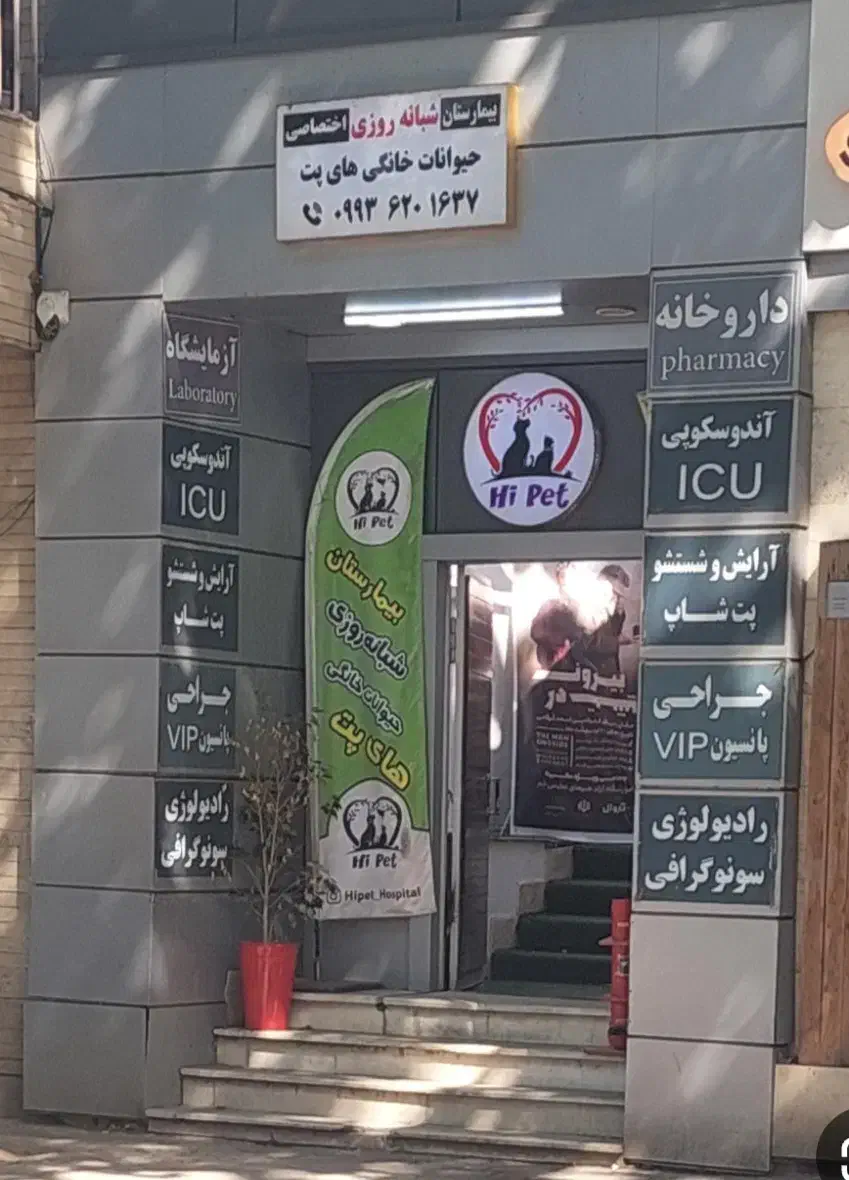 فروشنده در بیمارستان دامپزشکی|استخدام بازاریابی و فروش|گرگان, |دیوار