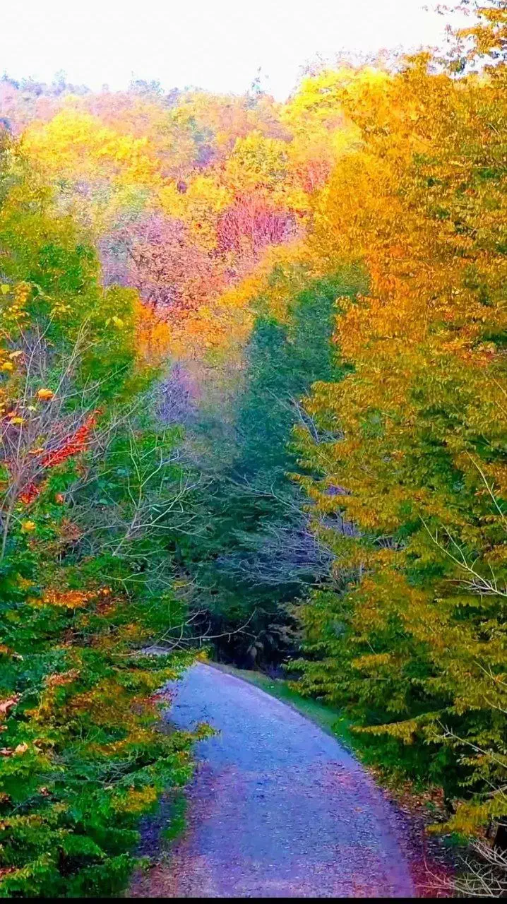 فروش زمین کشاورزی روستای ایرانشاهی|اجارهٔ دفتر صنعتی، کشاورزی، تجاری|خاوه, |دیوار