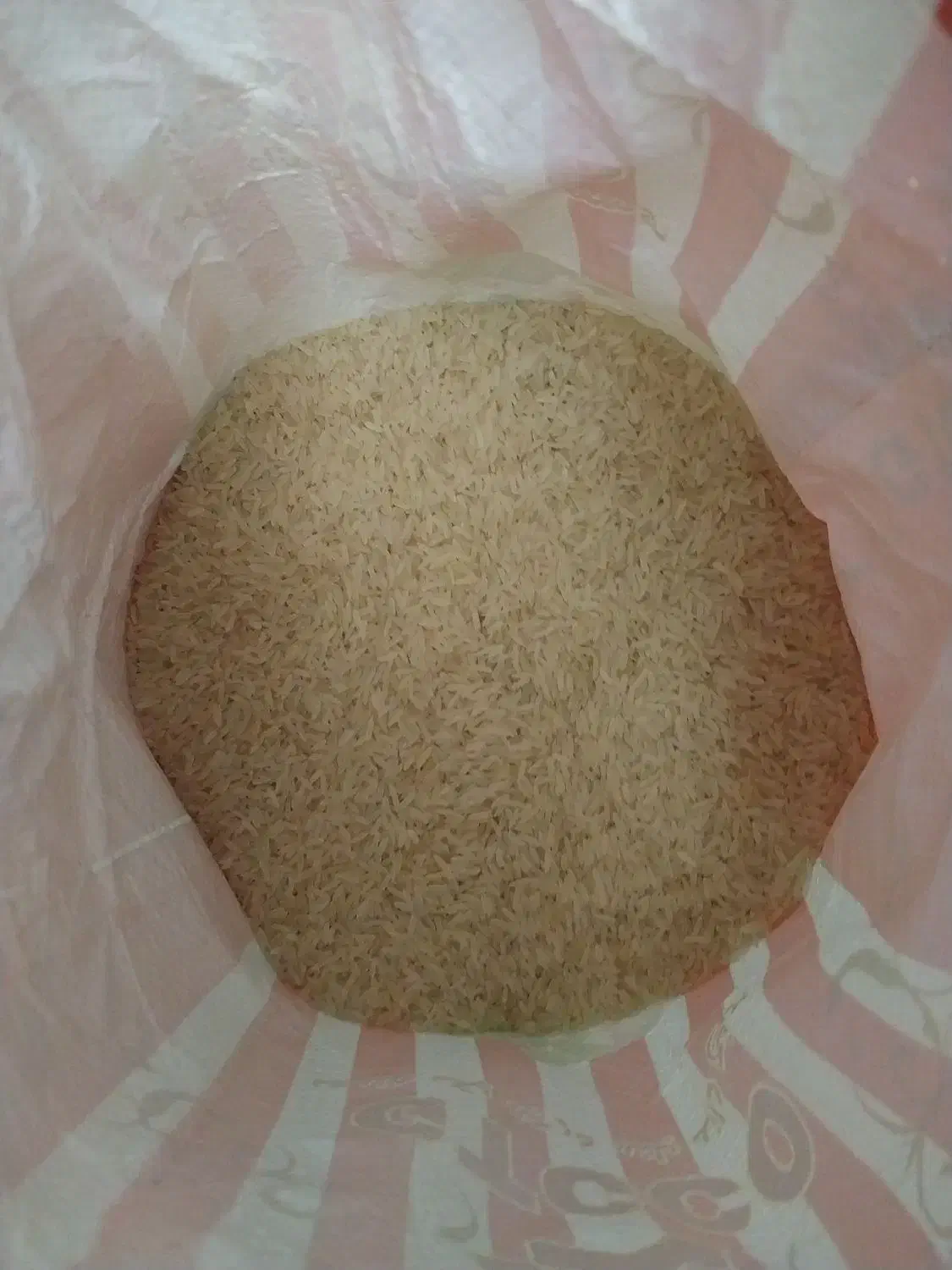 برنج هندی جی تی سی|خوردنی و آشامیدنی|پرند, فاز ۴|دیوار