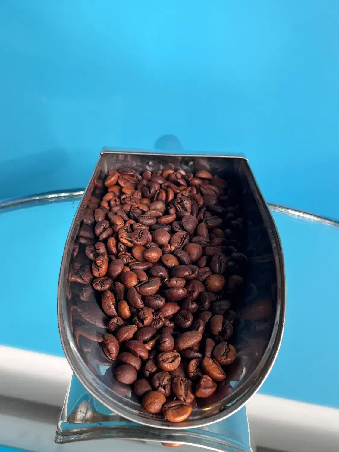 فروش قهوه عمده|عمدهفروشی|رشت, پل تالشان|دیوار