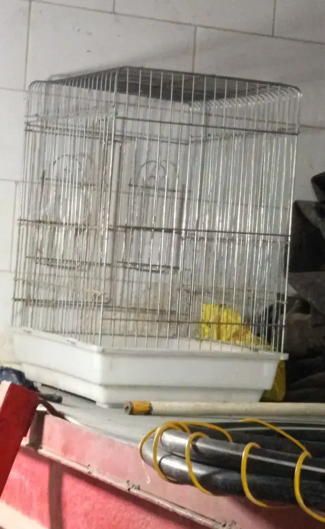 دو عدد قفس بزرگ پرنده|لوازم جانبی حیوانات|شوشتر, |دیوار