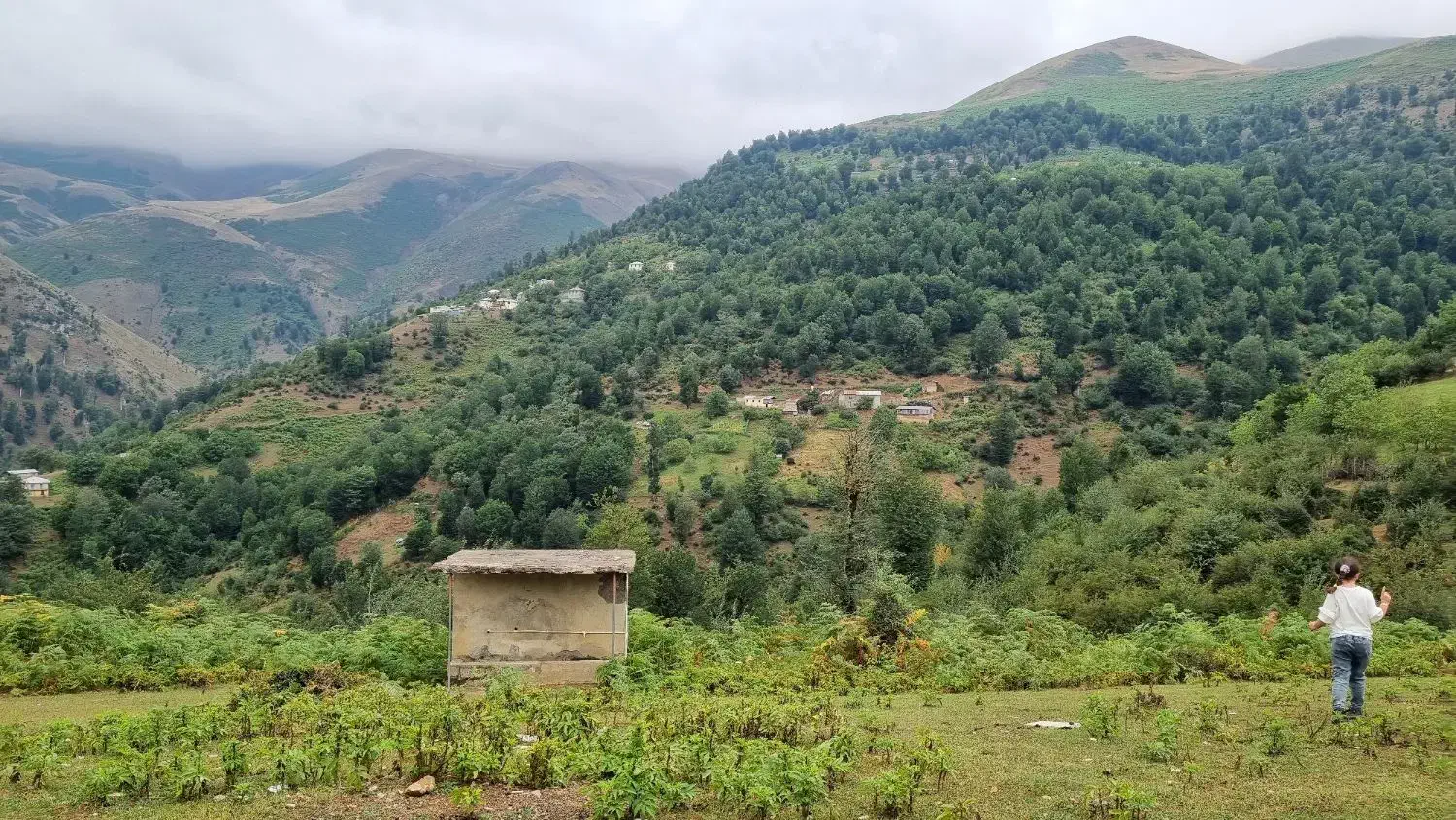 راهنمایی کنید|فعالیت داوطلبانه|لنجان, |دیوار