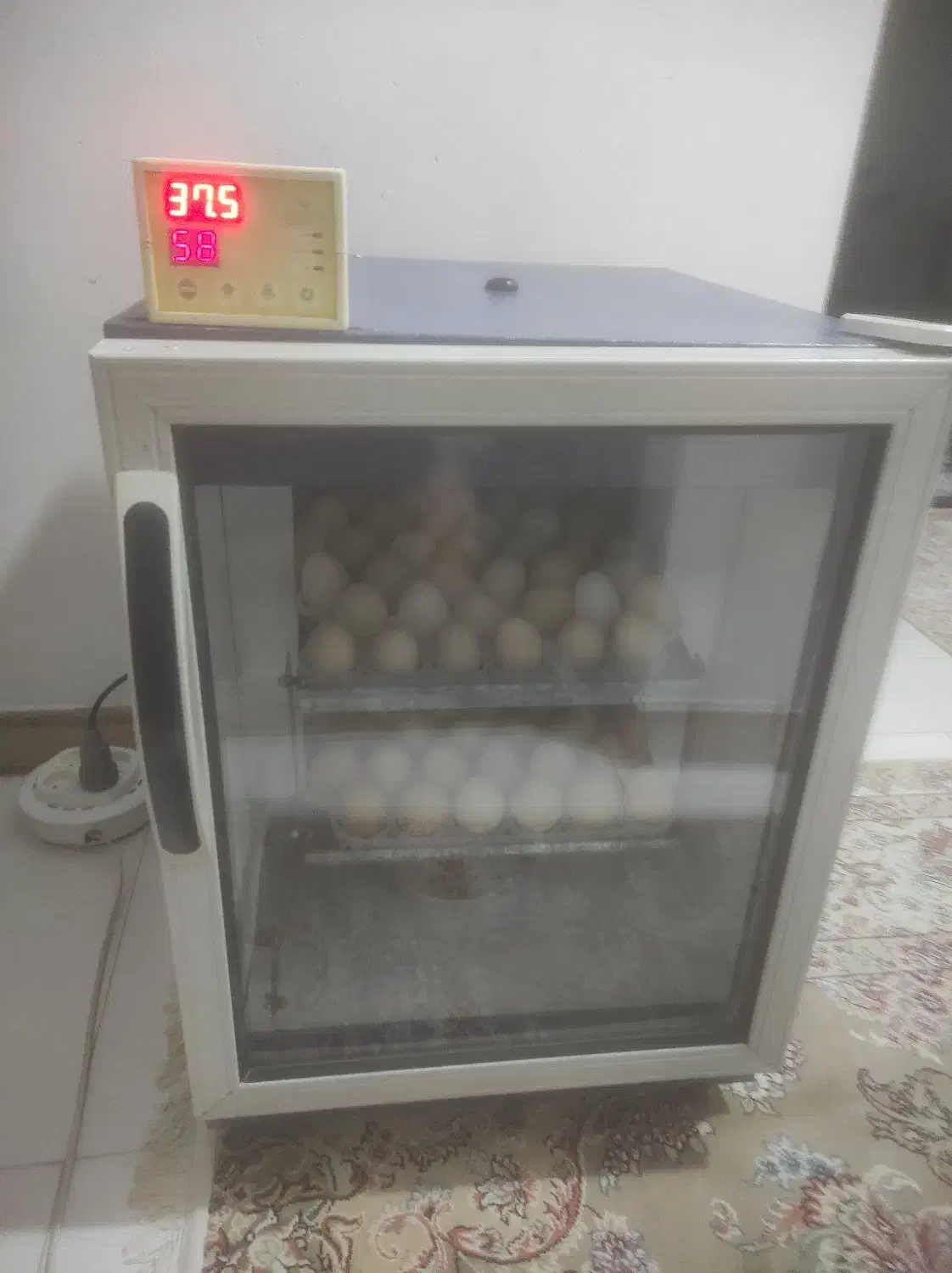 دستگاه جوجه کشی|لوازم جانبی حیوانات|آستانه اشرفیه, |دیوار